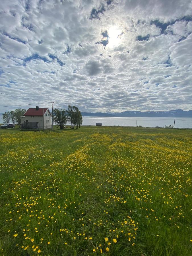 Unique And Charming Holiday Home With Fantastic Sea Views 트롬쇠 외부 사진