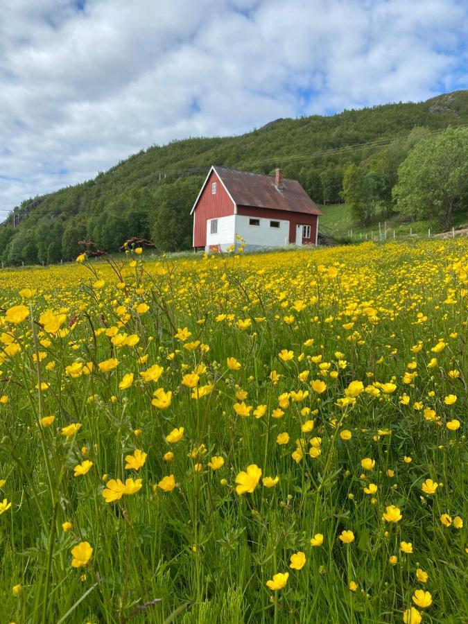 Unique And Charming Holiday Home With Fantastic Sea Views 트롬쇠 외부 사진