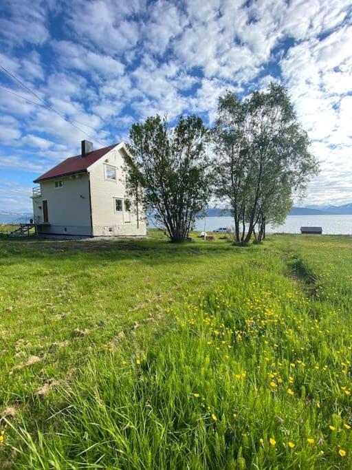 Unique And Charming Holiday Home With Fantastic Sea Views 트롬쇠 외부 사진