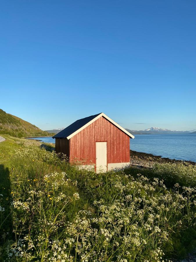 Unique And Charming Holiday Home With Fantastic Sea Views 트롬쇠 외부 사진